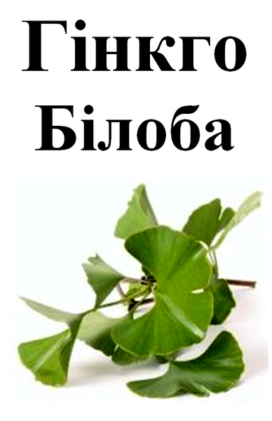 Гінкго білоба, листя сушене, 20 грам. 1215147031 фото