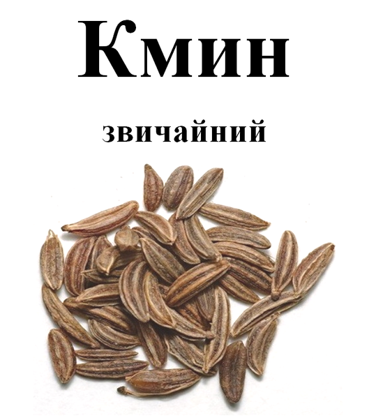 Тмин обыкновенный семена, 50 грамм. 1240982956 фото