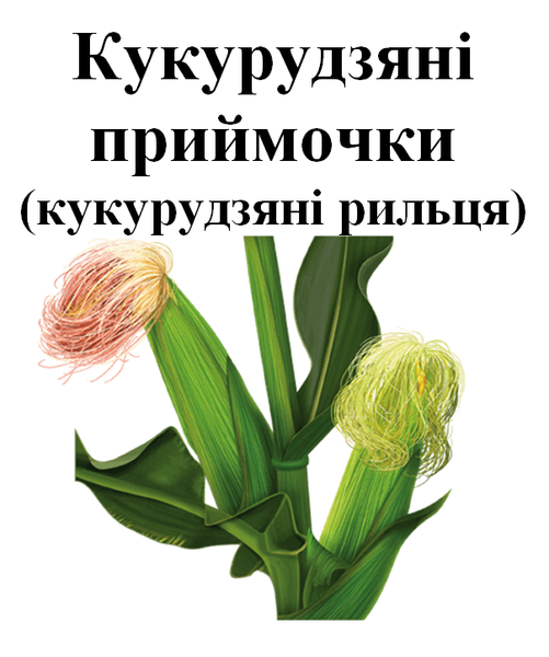 Кукурузные рыльца, 25 грамм. 1219926433 фото