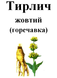 Горечавка желтая, корень сухой, 50 грамм. 1215149334 фото 2