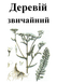 Деревій звичайний, трава суха, 40 грам. 1240986340 фото 2